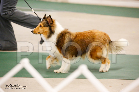 _JN_9787-NrmnNov2014-HR3