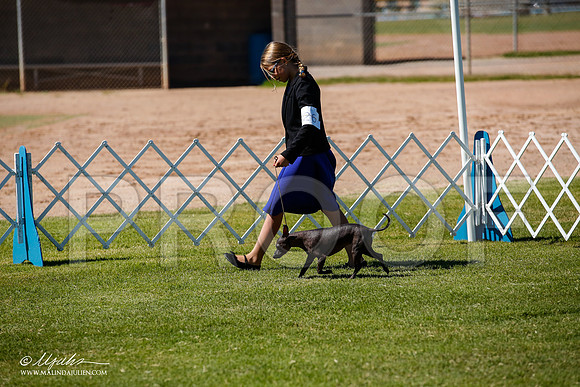 _JJ_8568-AlamogordoOct2014-HR3