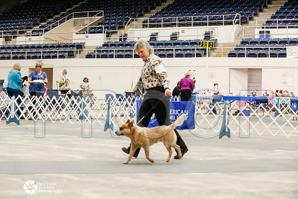 _JJ_9589-AblnMay2014-web