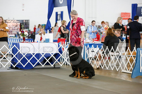 _JN_8255-DallasJul2014-HR3