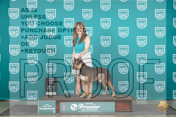 American Bully #1417 Thur Dock Judge James Birch__JP_0950_Premier_2024_HR3