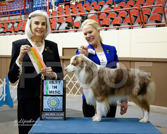MinAmSh-1197-SANov13-HR
