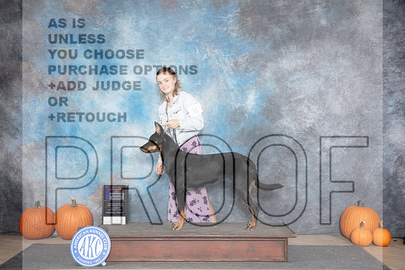 Beauceron #8 Sat WBBOS Judge Raymond Filburn__JP_8740_Humble_2024_HR3