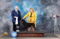 German Pinscher #5 Sat G4 Judge Gary Andersen