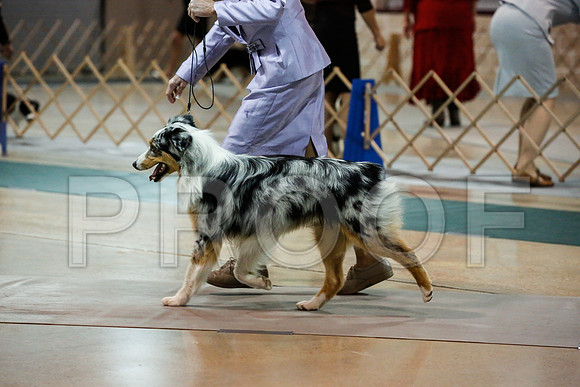 _JN_9877-ASCACollegeStationNov2014-HR3