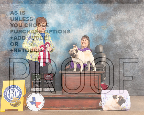 Pug #33 Fri AOM OHBOB Judge Pam Peat-MMJ_7100-FW2022-HR3