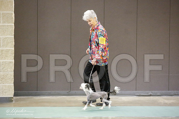 _JN_5427-BeltonJan2015-HR3