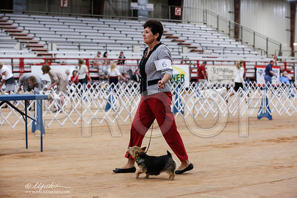 _JJ_6354-TxArJun2014-HR3