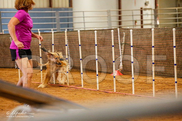 _JJ_5687-AfgBeltonOct2014-HR3