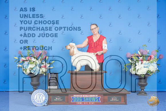 English Cocker Spaniel #5 SAT WD BOW NC M Judge Jon Cole__JP_0024_Houston_2024_HR3