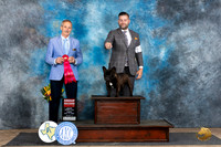 French Bulldog #11 Fri G2 Judge Rick Gschwender