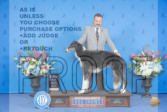 Borzoi #32 SAT WB BW NC M Judge Rick Martin__JP_9699_Houston_2024_HR3
