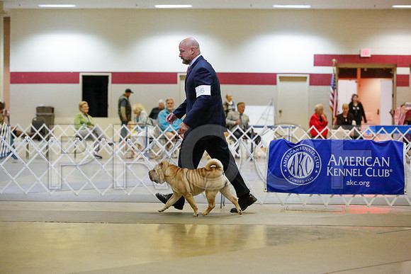 _JN_6375-AmarilloSept2014-HR3