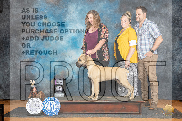 Boerboel #9 Sun PG1 Judge Pamela Wilson__JP_8534_MARSHALL_2024_HR3