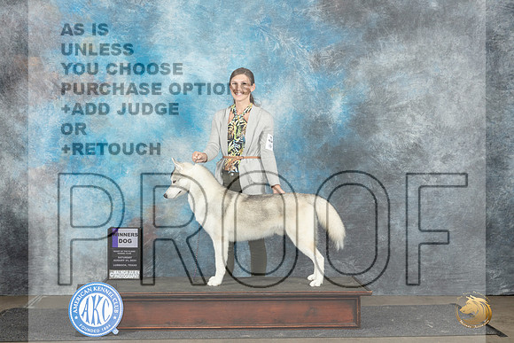 Siberian Husky #5 Sat WD Judge Debra Thornton__JP_3610_Lubbock_2024_HR3