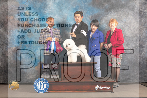 Bichon Frise #19 WED BOW Major Judge Timothy Catterson_MJ_1912_Houston_2022_HR3