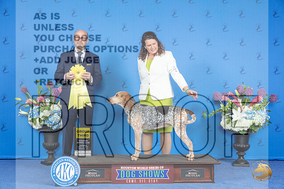 American English Coonhound # THUR G3 Judge Jamie Hubbard__JP_8599_Houston_2024_HR3