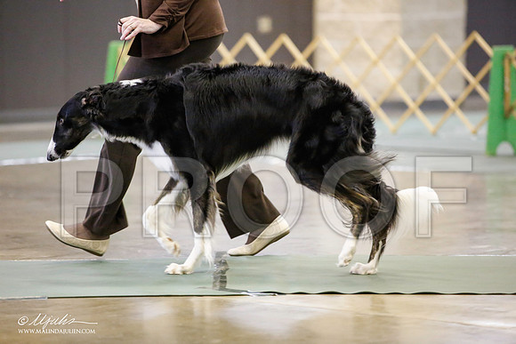 _JN_4548-BeltonJan2015-HR3