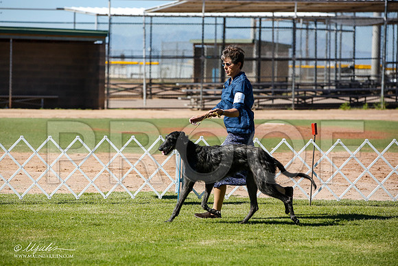 _JN_5920-AlamogordoOct2014-HR3