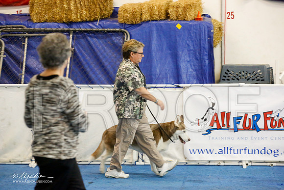 _M3_7850-AddisonHuskyMar2015-HR3