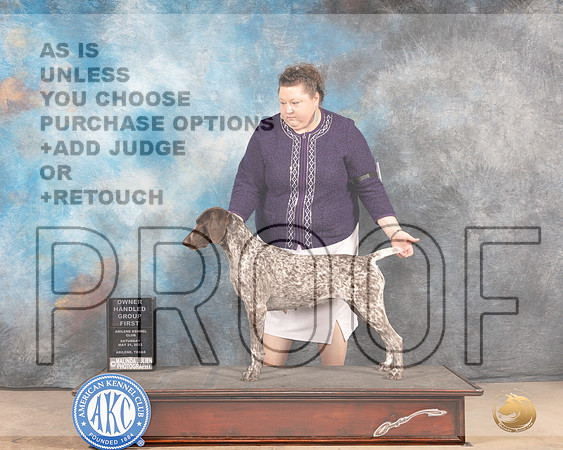 German Shorthaired Pointer #10 Sat OHG1 Judge Thomason Stanfield Jr-MMJ_4098-Abilene2022-HR3