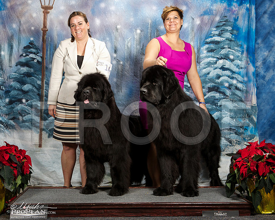 _ST_8601-DallasDec2014-HR3