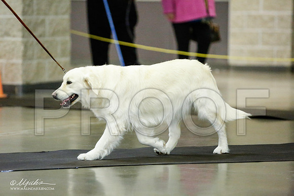 _RH_1032-BeltonJan2015IABCA-HR3