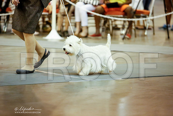 _JJ_6109-DalJul2014-HR3