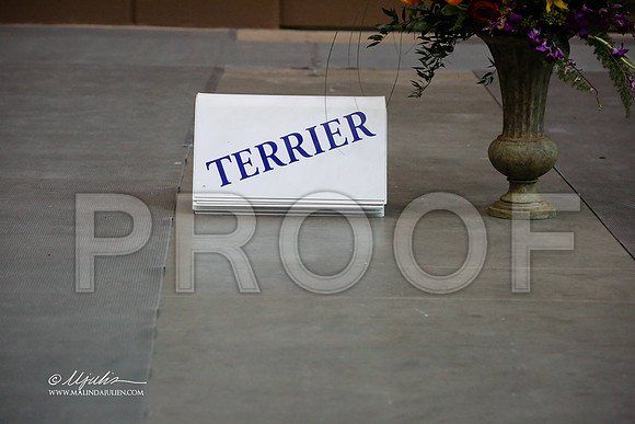 TerGrp-1368-SANov13-HR
