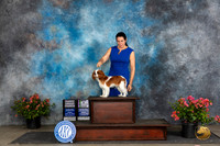 Cavalier King Charles Spaniels #9 Fri BISweeps SweepsG4 Judge Claire Wisch Abraham