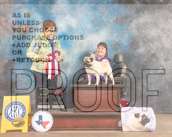 Pug #33 Fri AOM OHBOB Judge Pam Peat-MMJ_7096-FW2022-HR3