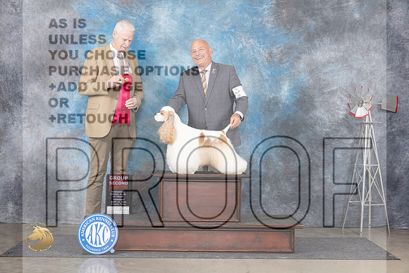 Cocker Spaniel Party #5 Thurs G2 Judge Jon Cole__JP_5144_Amarillo_2024_HR3