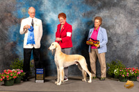 Saluk9 #5 Sta G1 Judge Allen Odom