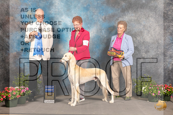 Saluk9 #5 Sta G1 Judge Allen Odom_MJ_0593_SA_2022_HR3