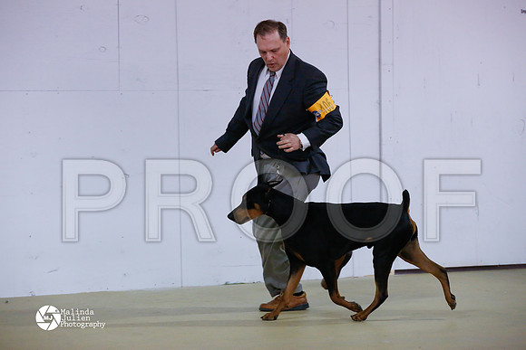 Dobe-6054-HtoJan14-HR