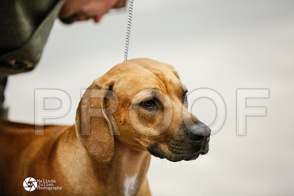 _RH_1508-AblnMay2014-web