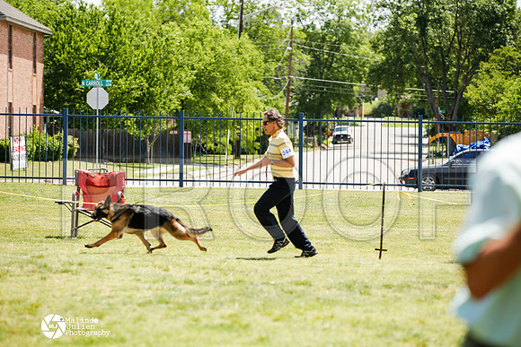 _J1_8051-BgSprngMay14-HR3