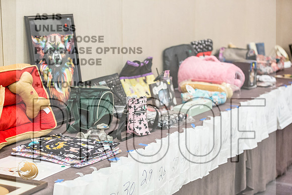 *Candids Chihuahua FriJJL_3588_HstnTOY_2022_HR3