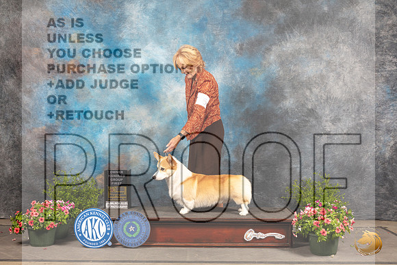 Pembroke Welsh Corgi #5 Sun OHG1 Judge Allen Odom_MJ_1509_SA_2022_HR3