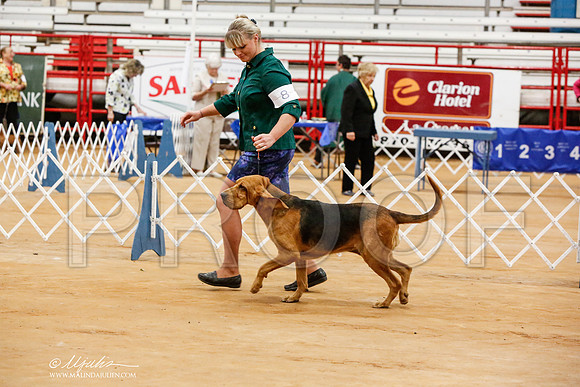 _JN_6348-TxArJun2014-HR3
