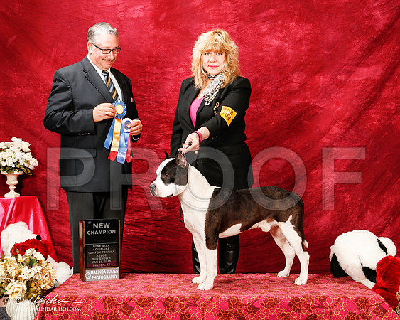 _ST_2354-2-BeltonJan2015-HR3