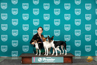 Rat Terriers Jeri Berg