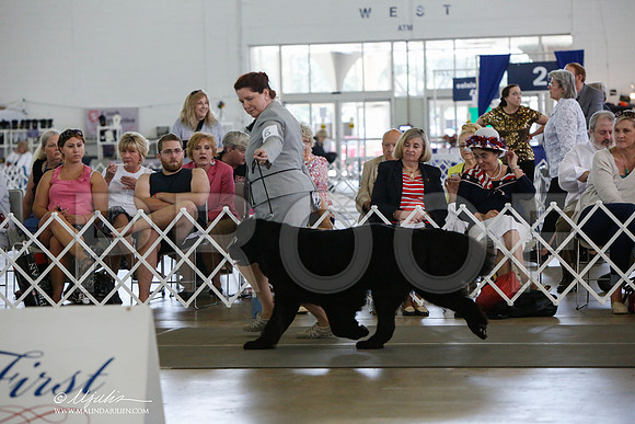 _JJ_1930-DallasJul2014-HR3