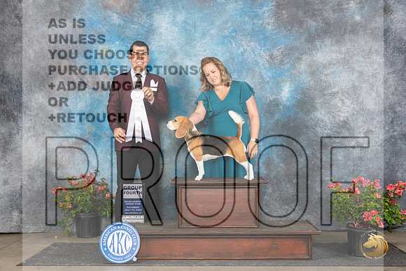 Beagle 15 #6 Sat G4 Judge Victor Rosado __JP_5529_San Antonio_2024_HR3