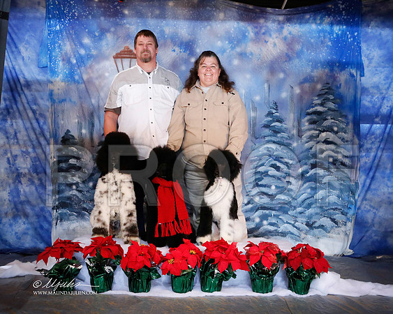 PoodStdMc-6753-MrshlDec13-HR