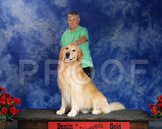 Sylvia-4713-WFOct2013-HR