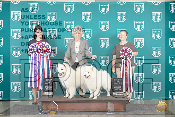 American Eskimo #111 #112 Wed BIS Judge Diana Brumbaugh__JP_0592_Premier_2024_HR3