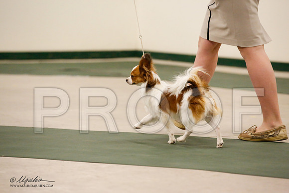 _JN_9105-NrmnNov2014-HR3