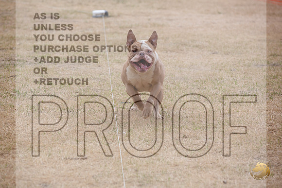 Precision Coursing Longview WA 2024 _JJL_3398_Longview WA_2024_HR3