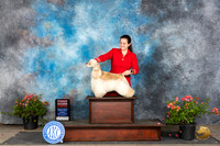 Cocker Spaniel ASCOB #9 Sun G2 Judge Victor Rosado